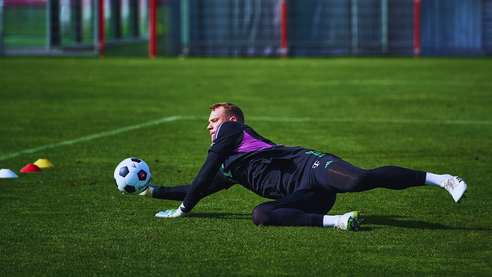 Manuel Neuer